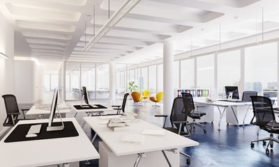 How Lighting Can Impact Productivity