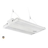110W/165W/220W Selectable LED Linear High Bay, CCT Selectable, Cable Mounting Included