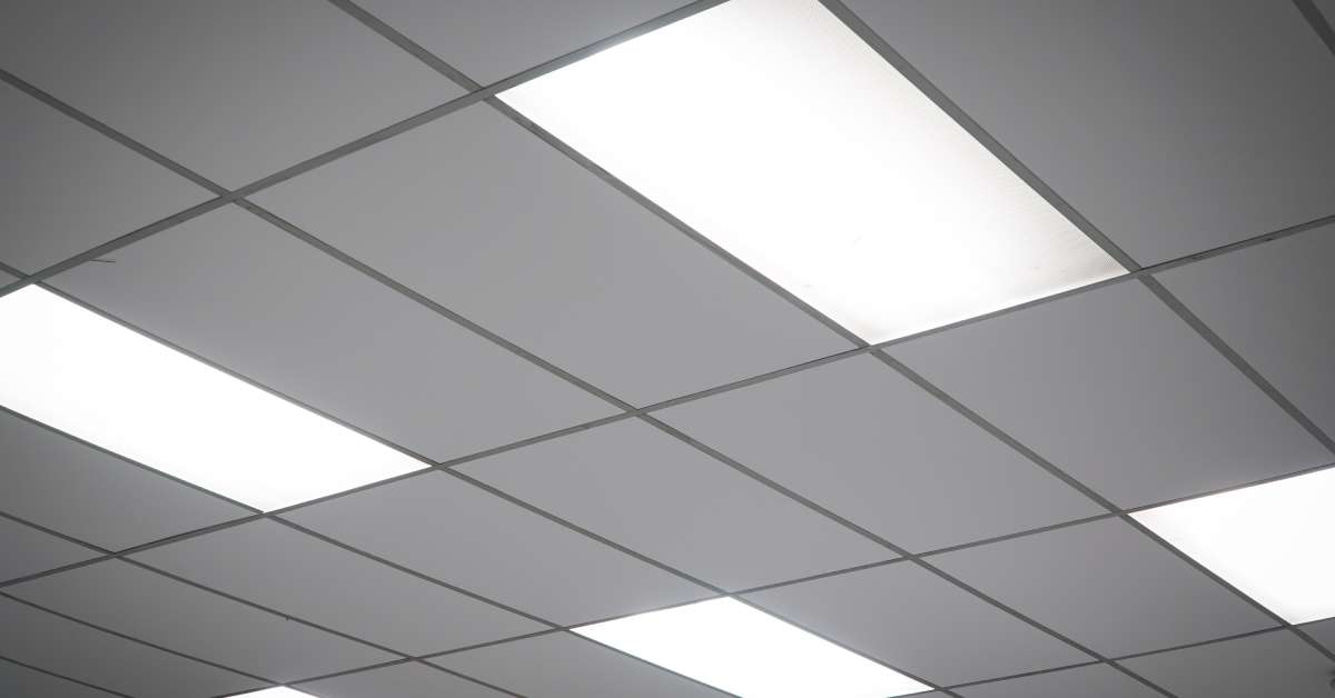 Why Your Business Should Switch to 2x4 LED Panels